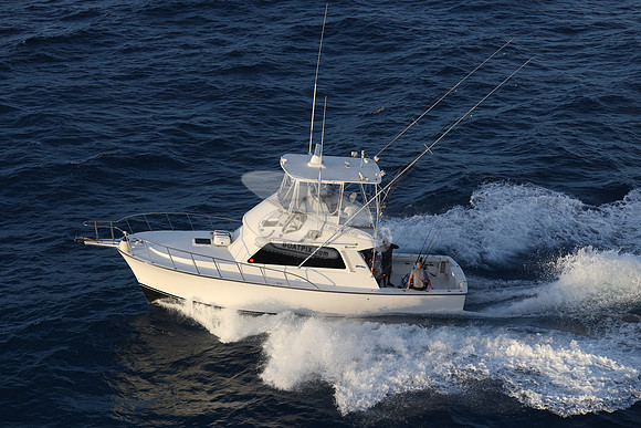DISCOVERY.4866