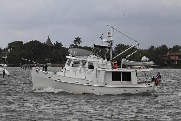BAY PELICAN.FL7311...03
