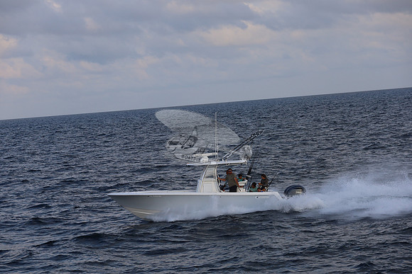 al0491rn.16