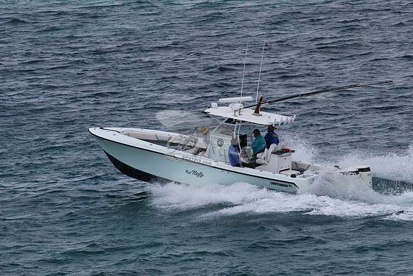 FL0873NE.12