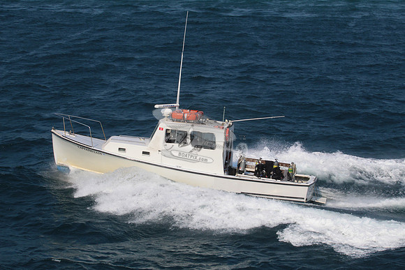 Captains lady.4