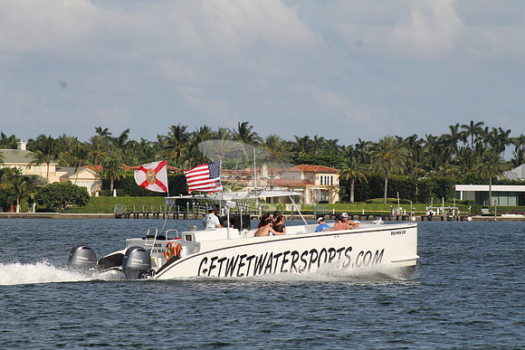 DOLPHIN CAT.SINGER ISLAND FL.10