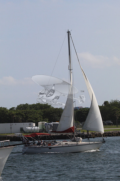 3.FL7445EW.WIND PIRATE.10