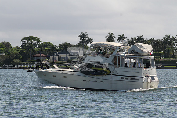 BEL DI.VIKING.8
