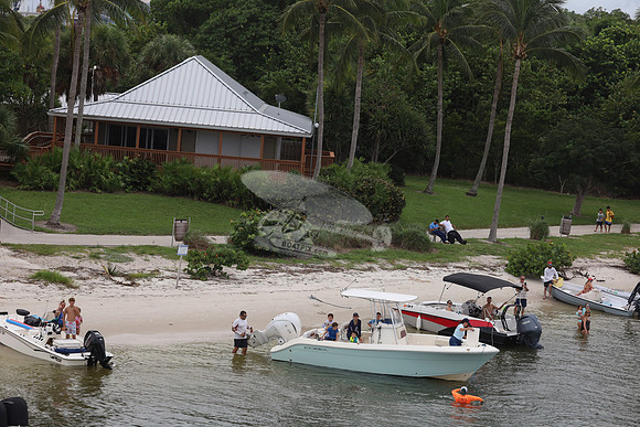 COBIA.422