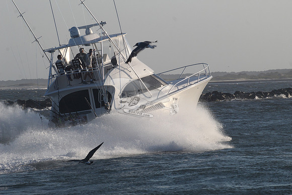 chain reaction.ocean city md.9956