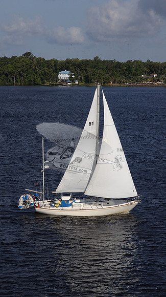 81.FL3604KP.304