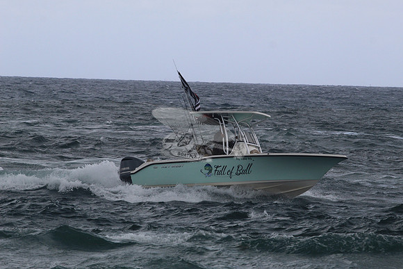 fl1368rs.full of bull.1832