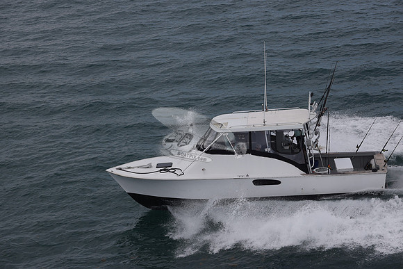 Fired Up Charter.24