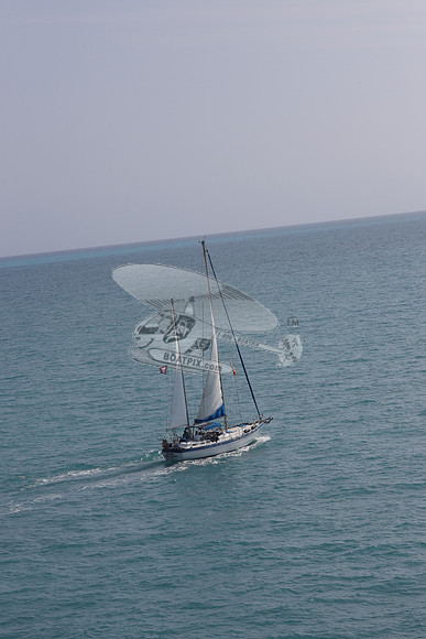 23.sea eagle.islamorada fl.4085