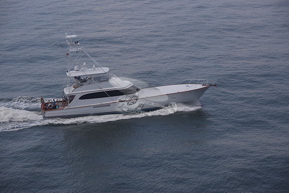 BEAST.PALM BEACH FL.034