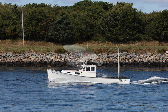 680120.molly may.plymouth ma.6624