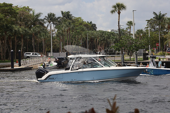 BOSTON WHALER32.BLUE.1