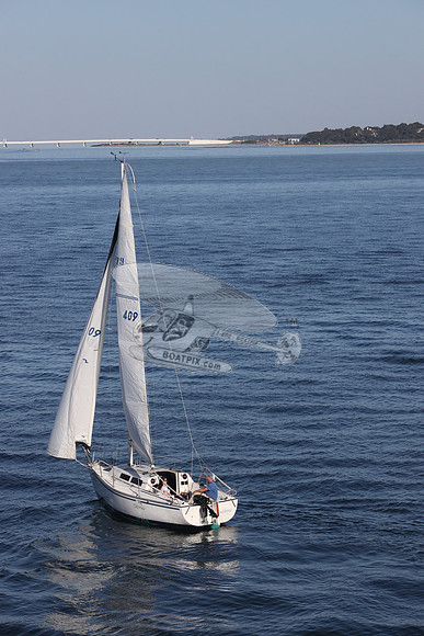 409.DELPHINA.FL6669GL.02