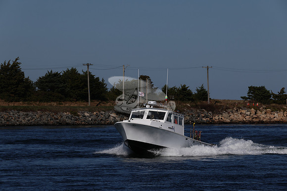 ms8866hy.10