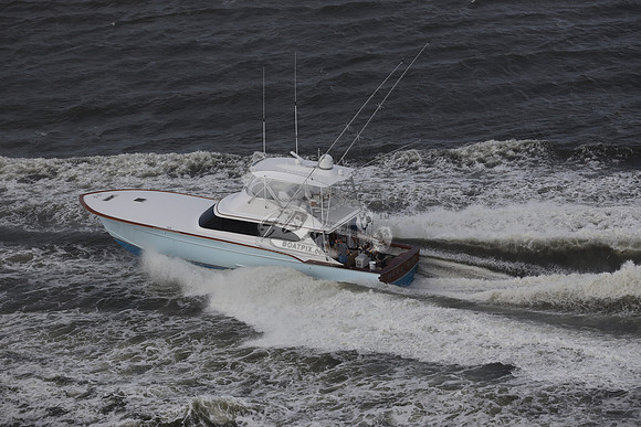 blue bill.wrightsville beach.3652