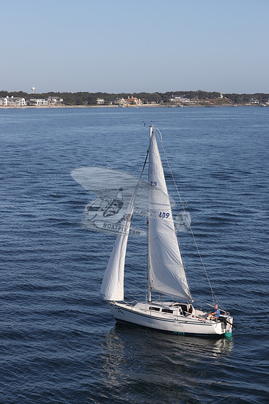 409.DELPHINA.FL6669GL.04