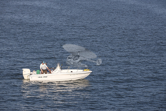 NC5733DL.352
