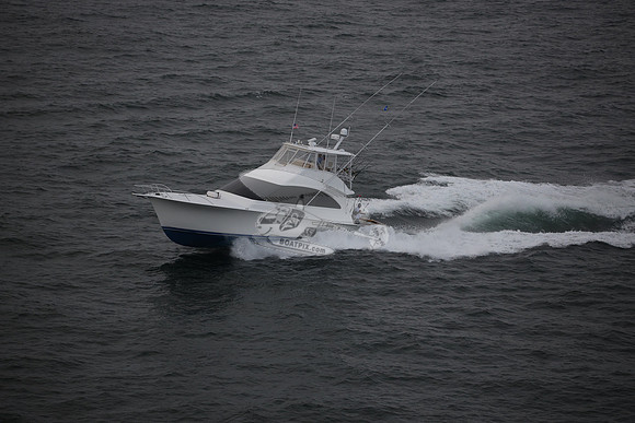 fortuna.point pleasant.06