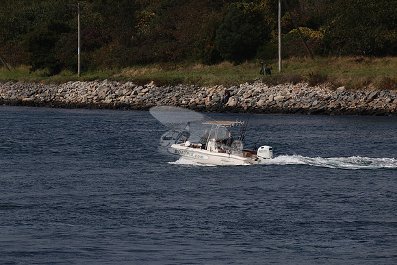 ms6911bx.2
