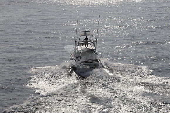 ANGLER MANAGEMENT.FTL.TIARA.05