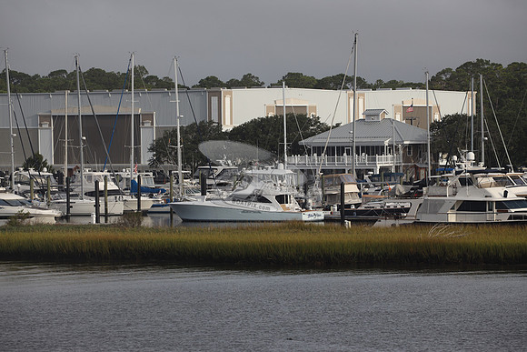 BLUE NIXIE.BALD HEAR ISLAND NC.1