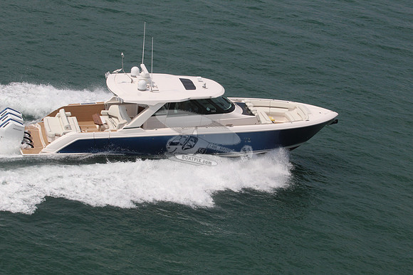 Blue Pearl.boca raton.7