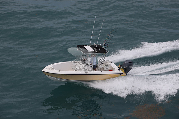 fl1505lp.21
