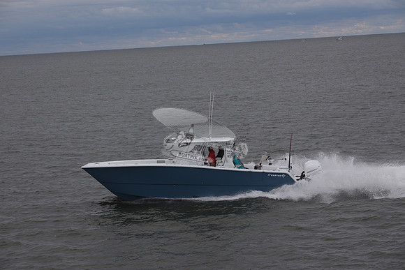 Freeman.blue.4 engine.12