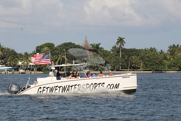 DOLPHIN CAT.SINGER ISLAND FL.04