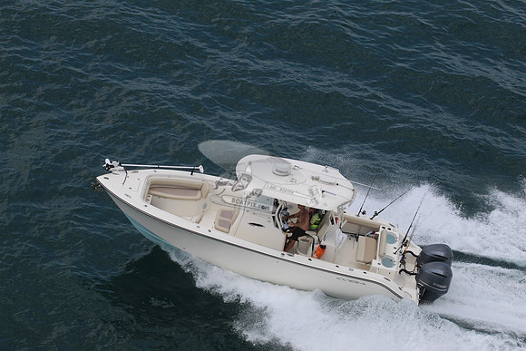 Cobia.2 yamaha.06