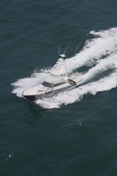 Amigo.7909