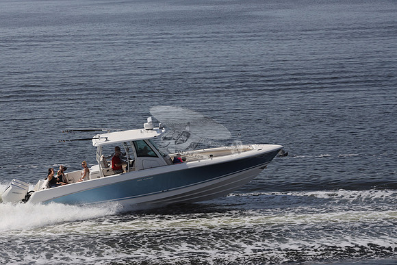 dilly dilly.boston whaler.10