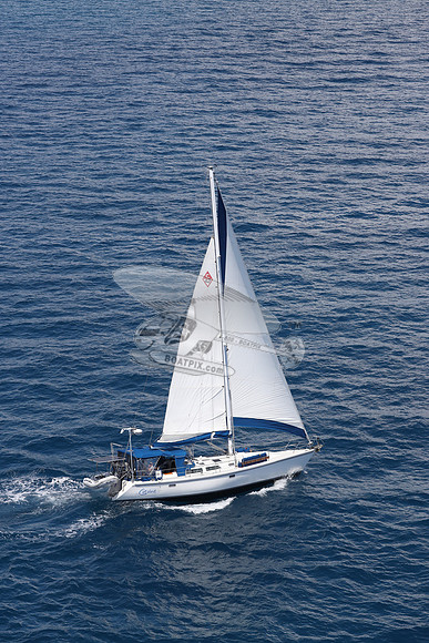 CAROLINE.C42.16