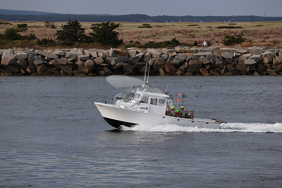 ms8866hy.07