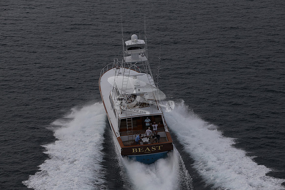 beast.palm beach.0841