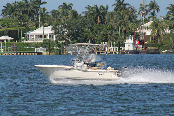 FL0786SV.3508