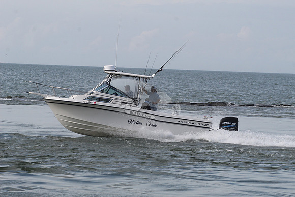 dl140ar.kortlyn jade.5161