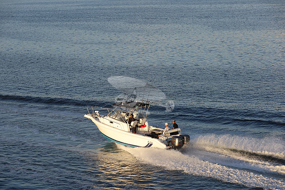 big boys toy.cobia.0637