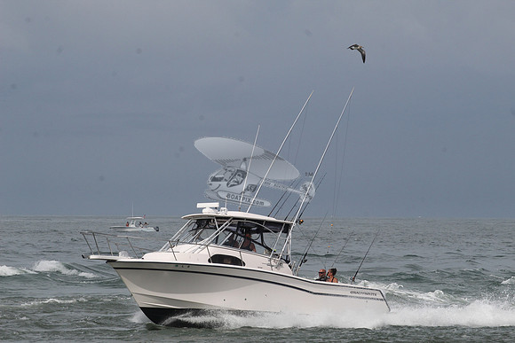 dl8.grady white.4494