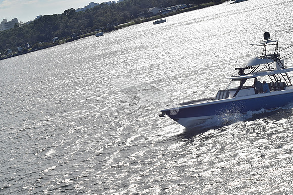 everglades 455 cc.blue hull.2414