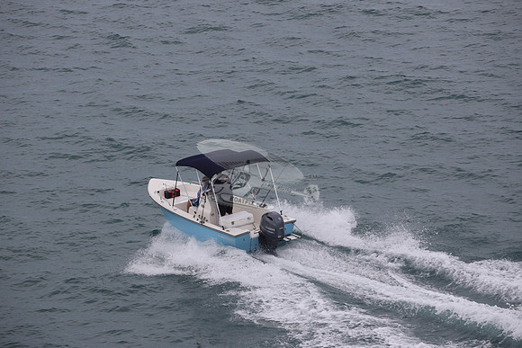 fl0786rt.03