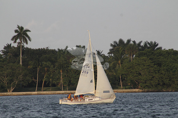 209.NY7765FR (1)