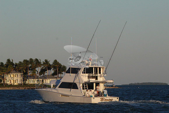 bimini.4526