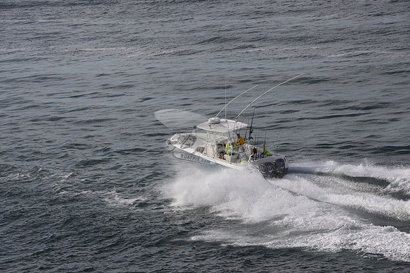 --2871ah.sailfish.blue hull.2776