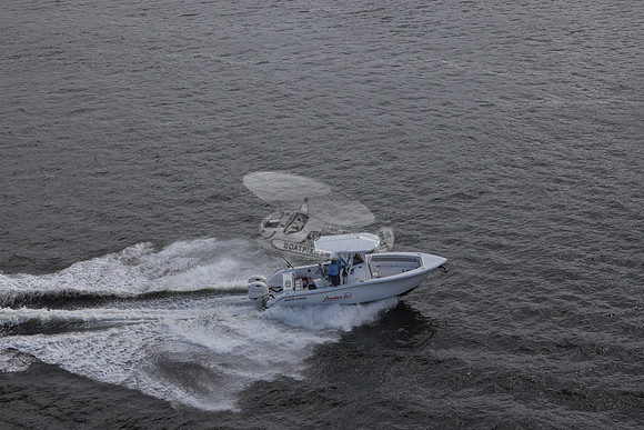 coankar too.sea pro.3