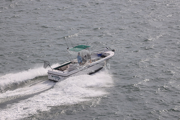 DL0010E.11