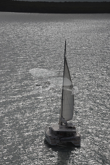 00000.blue moon.48 foot. 19