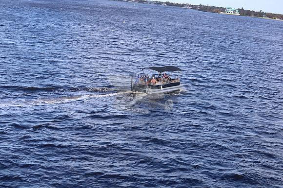 Avalon.pontoon.mercury.1