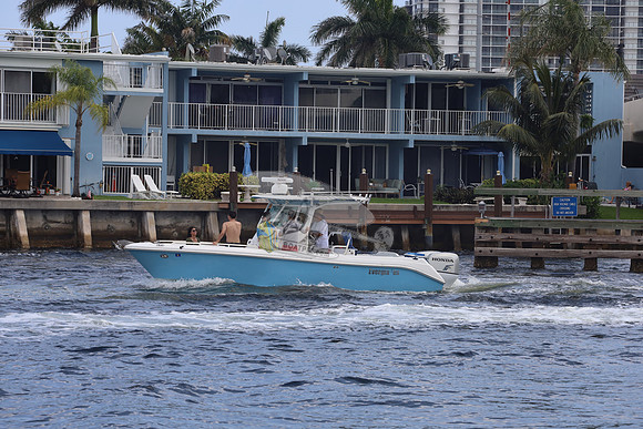 EVERGLADES.BLUE.131